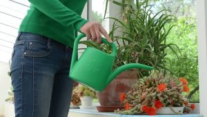 20 نکته برای نگهداری گلها در منزل