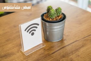 آیا کاکتوس‌ها جاذب اشعه‌ها و امواج مضر هستند؟