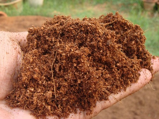 خاک کوکوپیت چیست؟