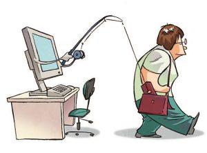 10 نکته مهم در خرید بذر کاکتوس و ساکولنت