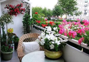20 نکته در پرورش گل‌ها در خانه