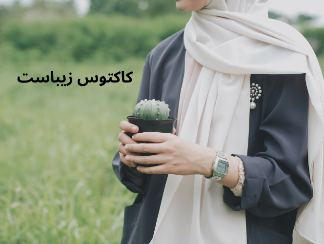 یک زن با شال اسلامی در دستش کاکتوس آستریاس