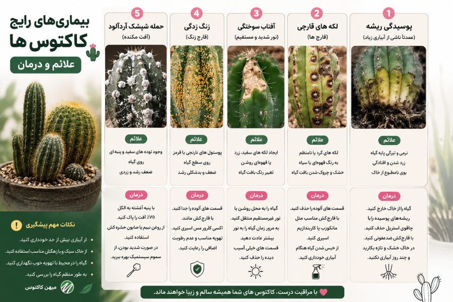 بیماری کاکتوس ها