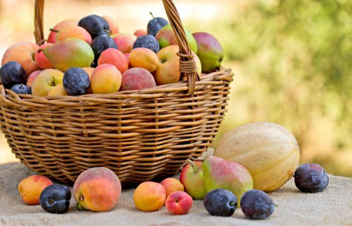 میوه ارگانیک چیست و چطور میتوان میوه های ارگانیک تولید کرد؟