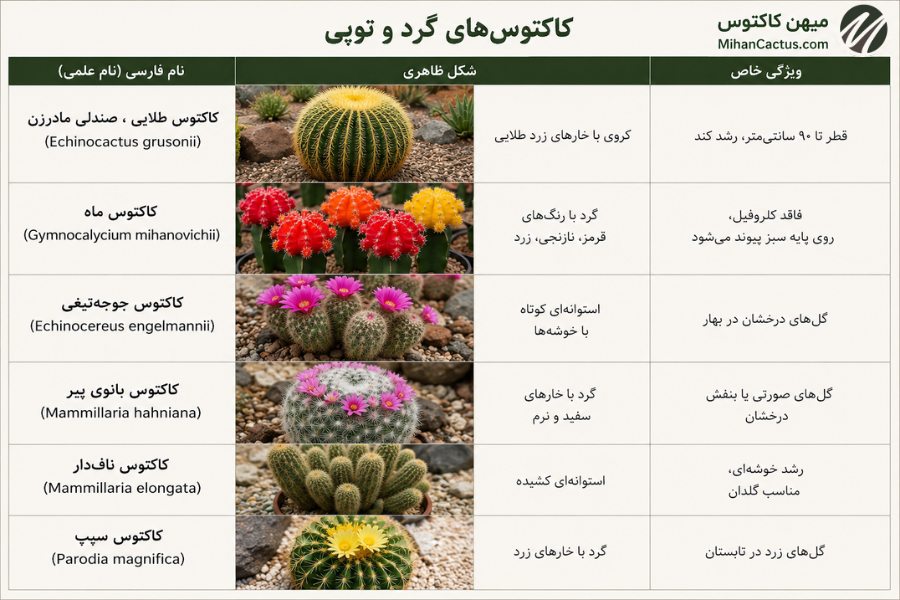 عکس و اسم کاکتوسهای گرد و توپی