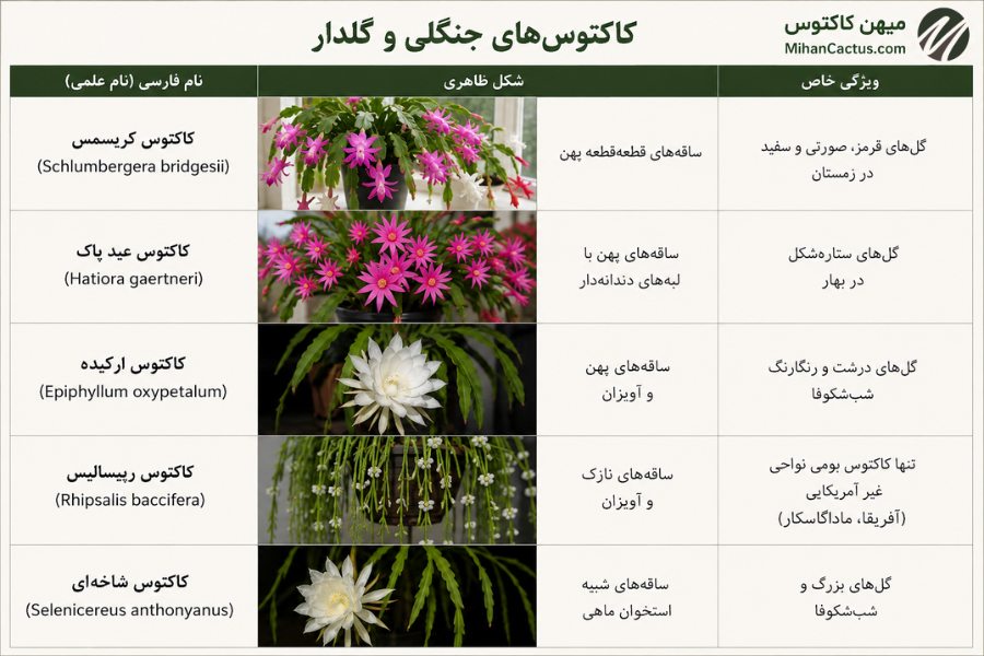 کاکتوسهای جنگلی و گلدار