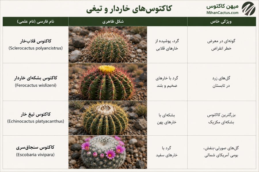 کاکتوسهای خاردار و تیغی